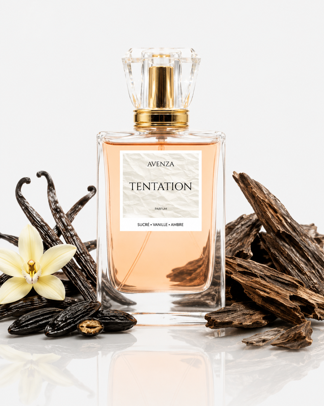Tentation - Inspiration Arabians Tonka